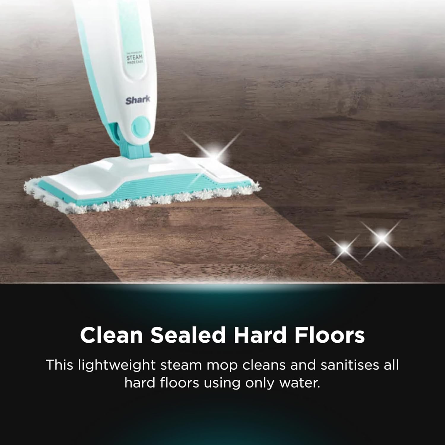 SteamClean Pro Mop